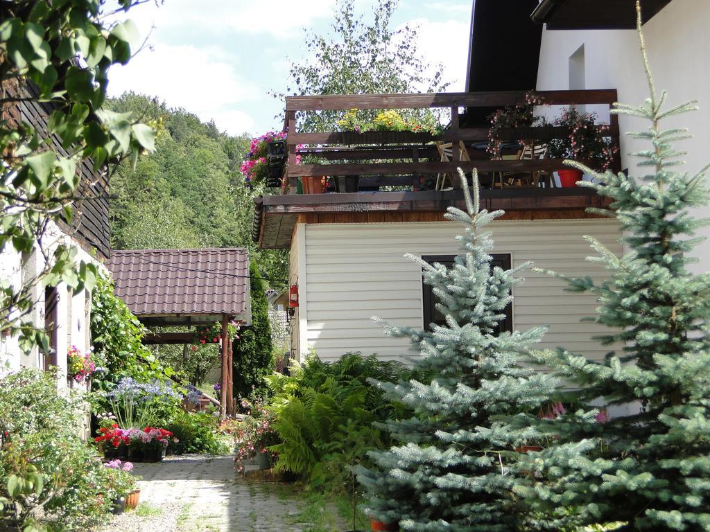 Romanowka Oldrzychowice Klodzkie Exteriör bild