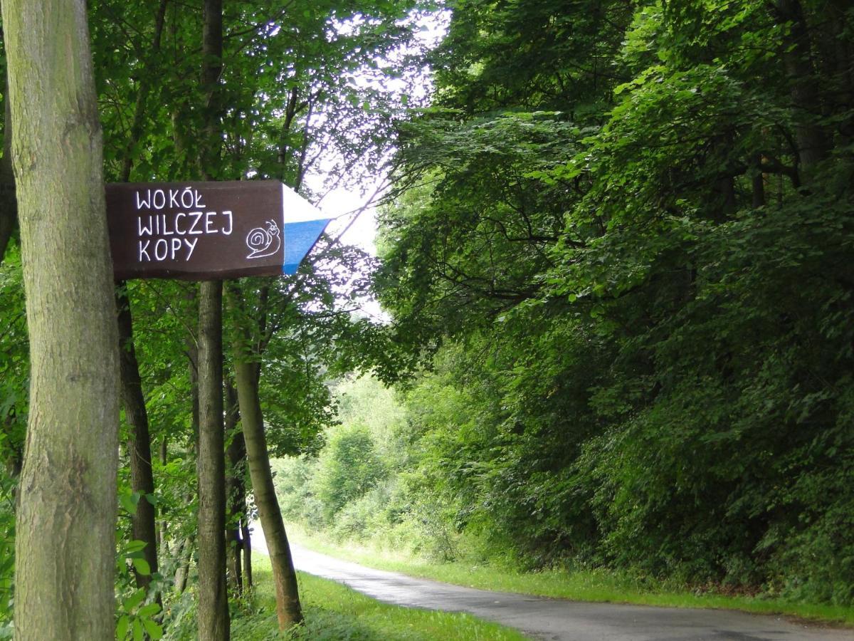 Romanowka Oldrzychowice Klodzkie Exteriör bild